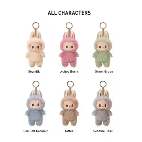 Labubu Exciting Vinyl Face Blind Box (1st Generation)